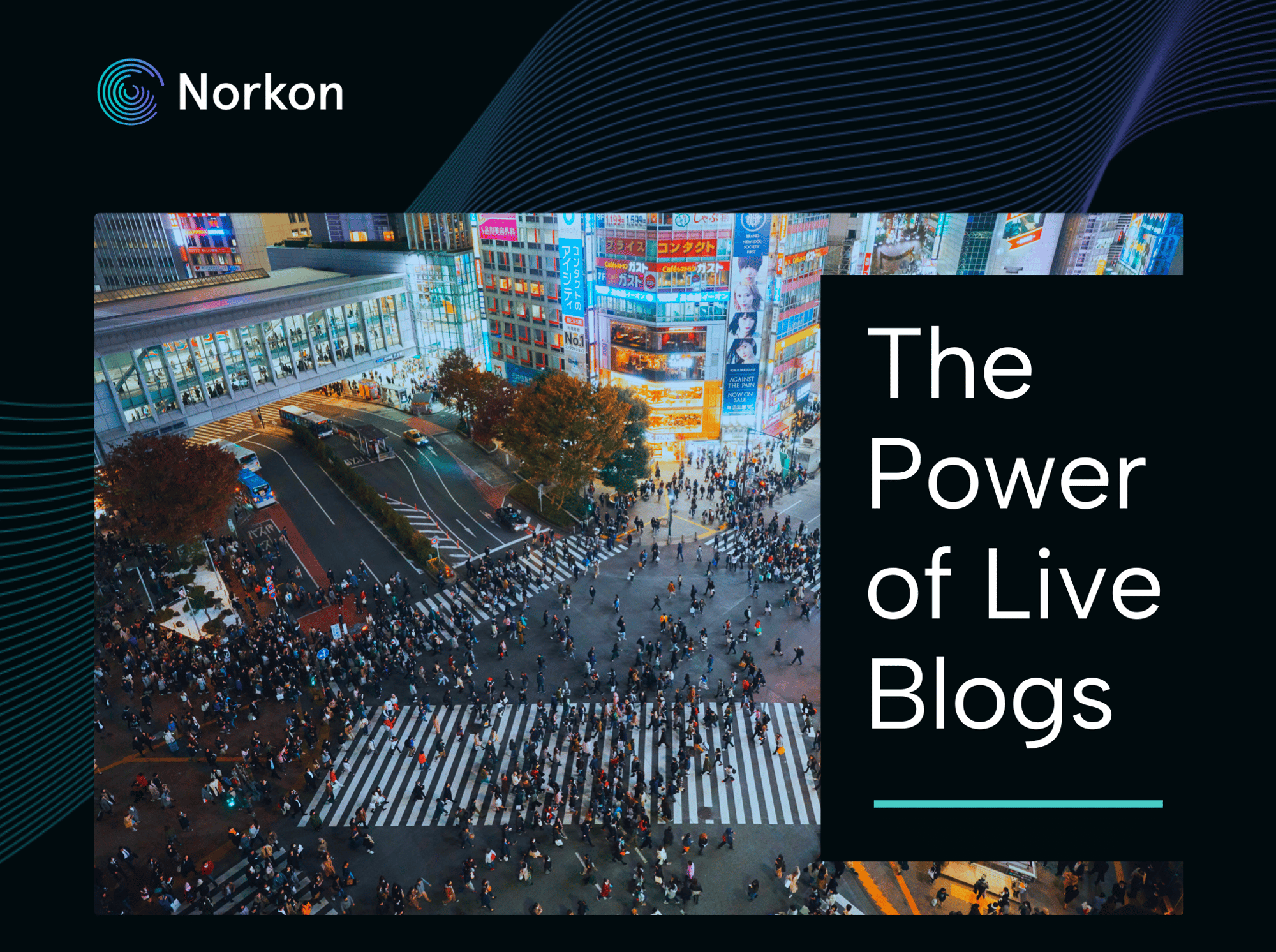 The power of live blogs - image